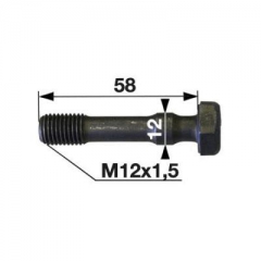 Pleuellagerschraube MWM